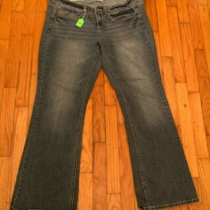 Maurices Ivy bootcut jeans, 18L, 33”